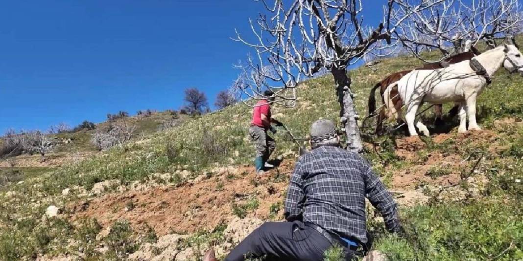 Ayda 240.000 TL kazandırıyor, kimse çalışmıyor: ’20 yıl içerisinde tamamen bitebilir’ 1